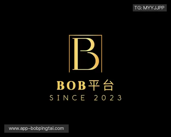 介绍BOB平台